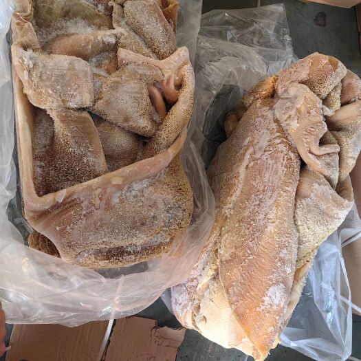 阳信县纯干牛肚  厂家直销，手续齐全支持样品