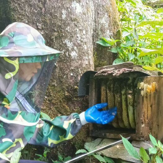 隆林县土蜂蜜