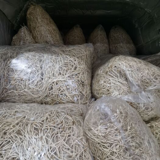 贵阳鱼腥草折耳根