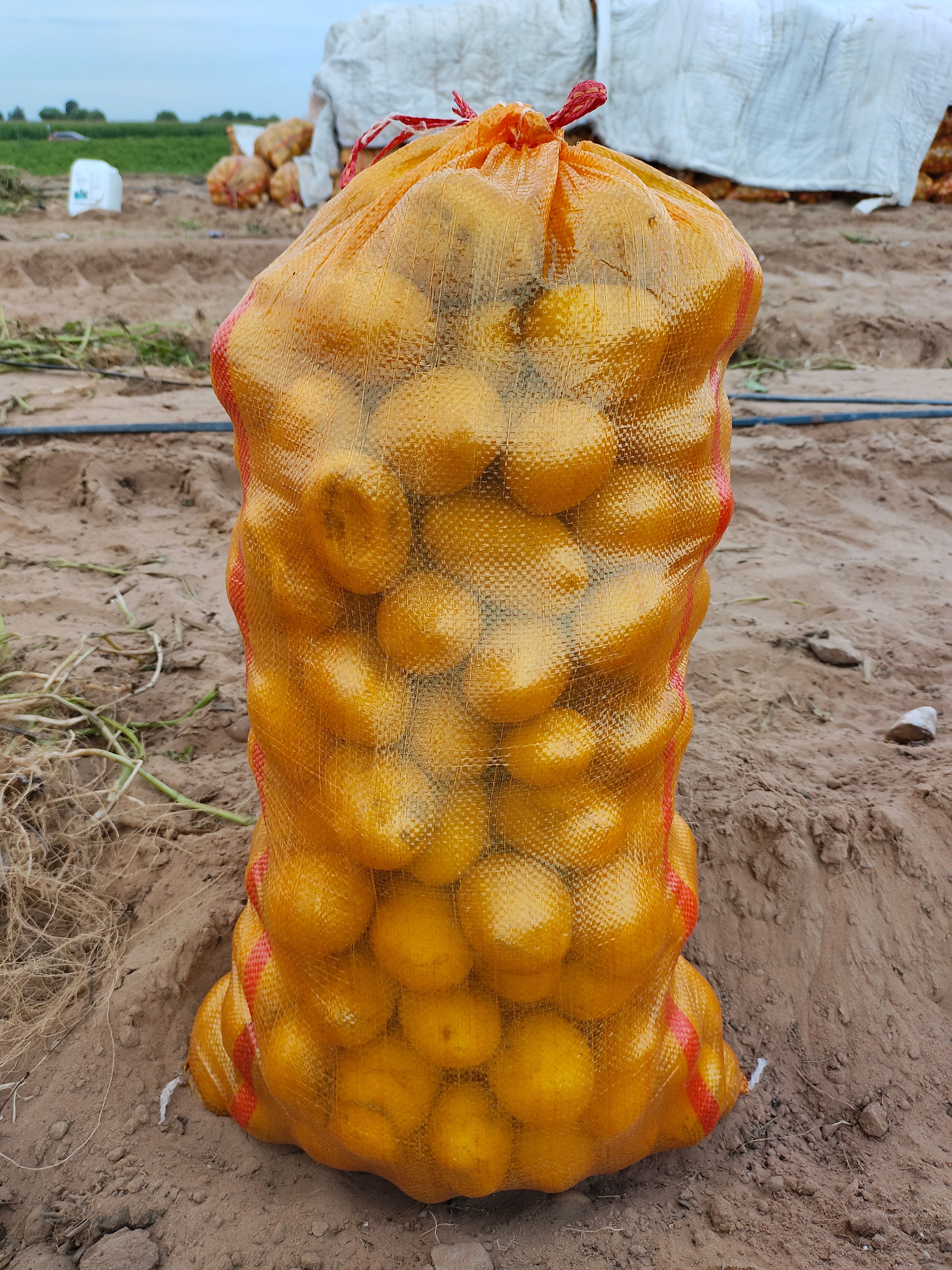 陕北土豆，黄心土豆中货，定制各种规格