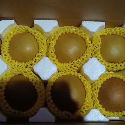 中方县金秋梨