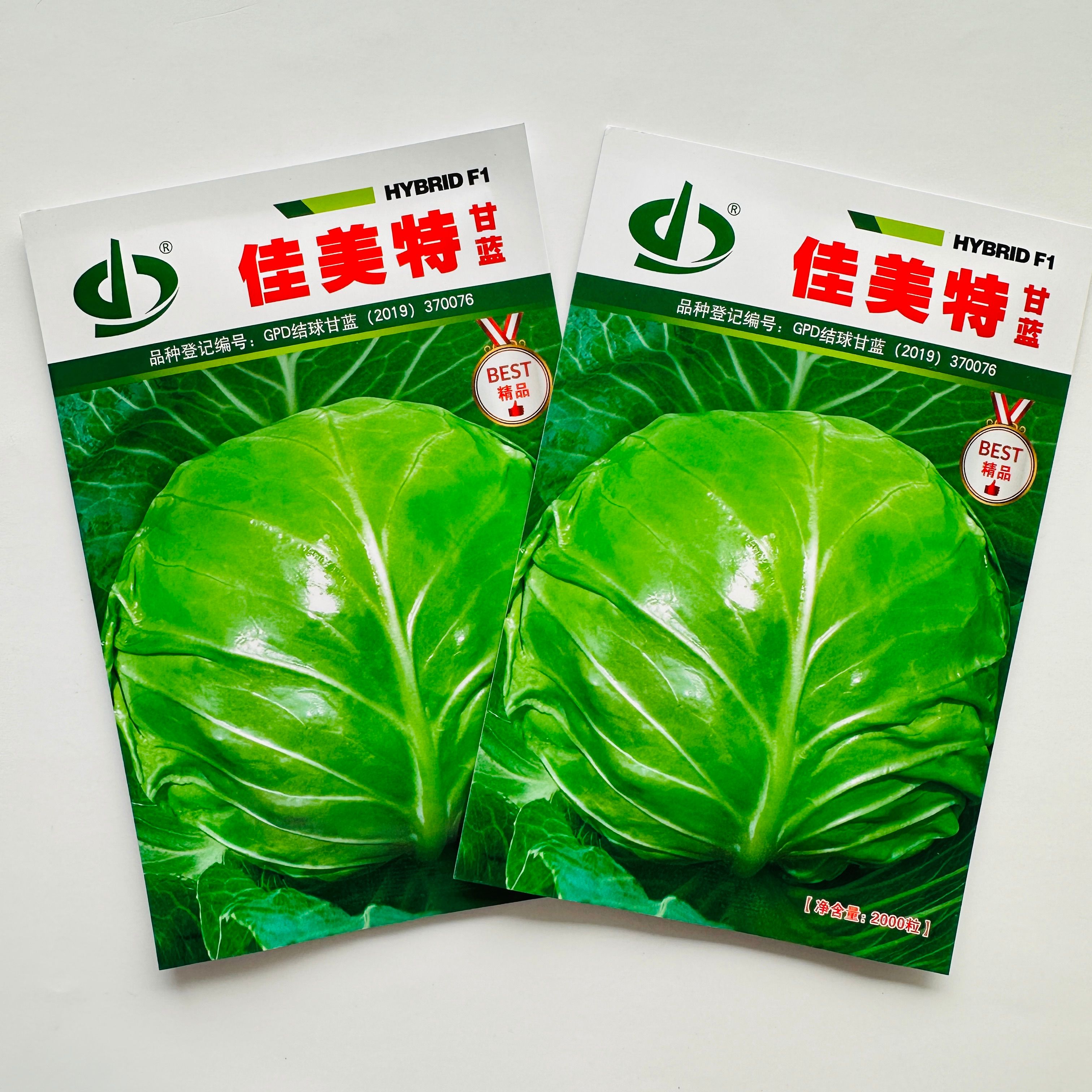 甘蓝种子 佳美特精品 绿甘蓝种子包菜种子