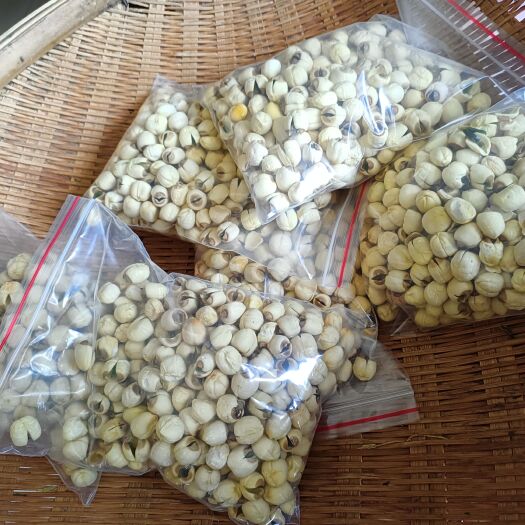 乳源县粤北自家种白莲子粉糯，，安全食品，煲汤煲糖水佳可