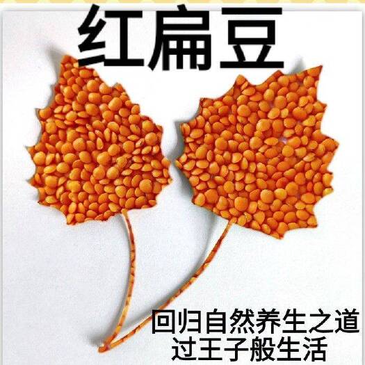 红小扁豆土耳其红小扁豆可粥可饭红小扁豆5斤装包邮