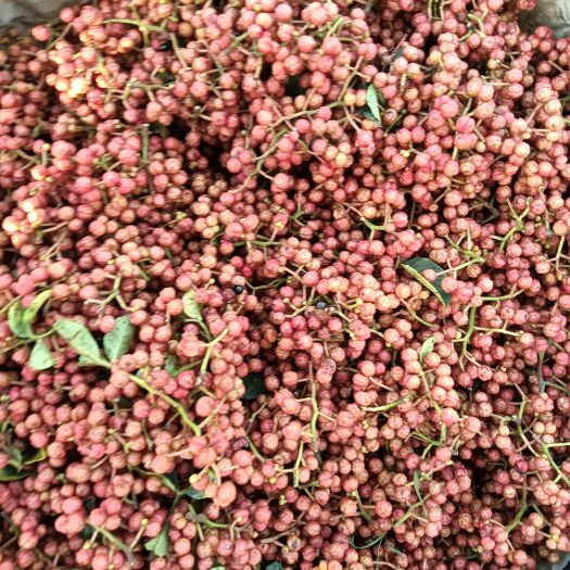 富平县花椒