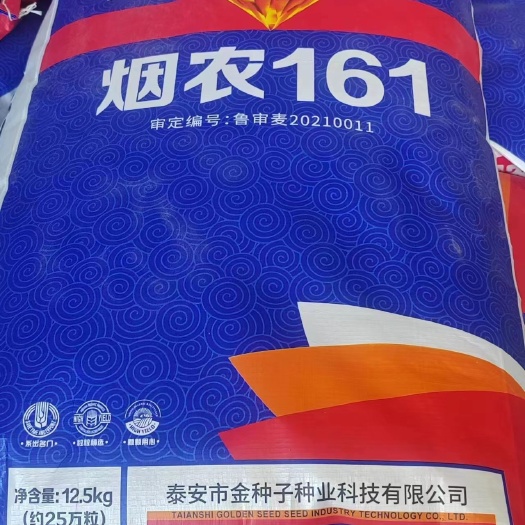济南烟农161，烟农1212的替代产品到了，