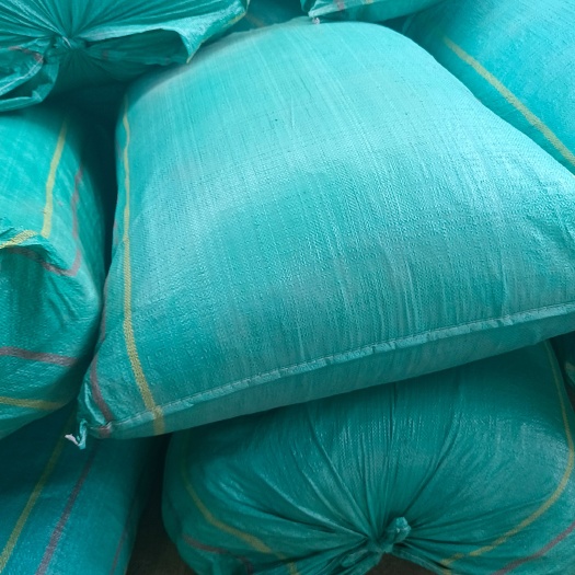岷县24年晒干优质提摩西草兔子 豚鼠 龙猫 荷兰猪 赛马草