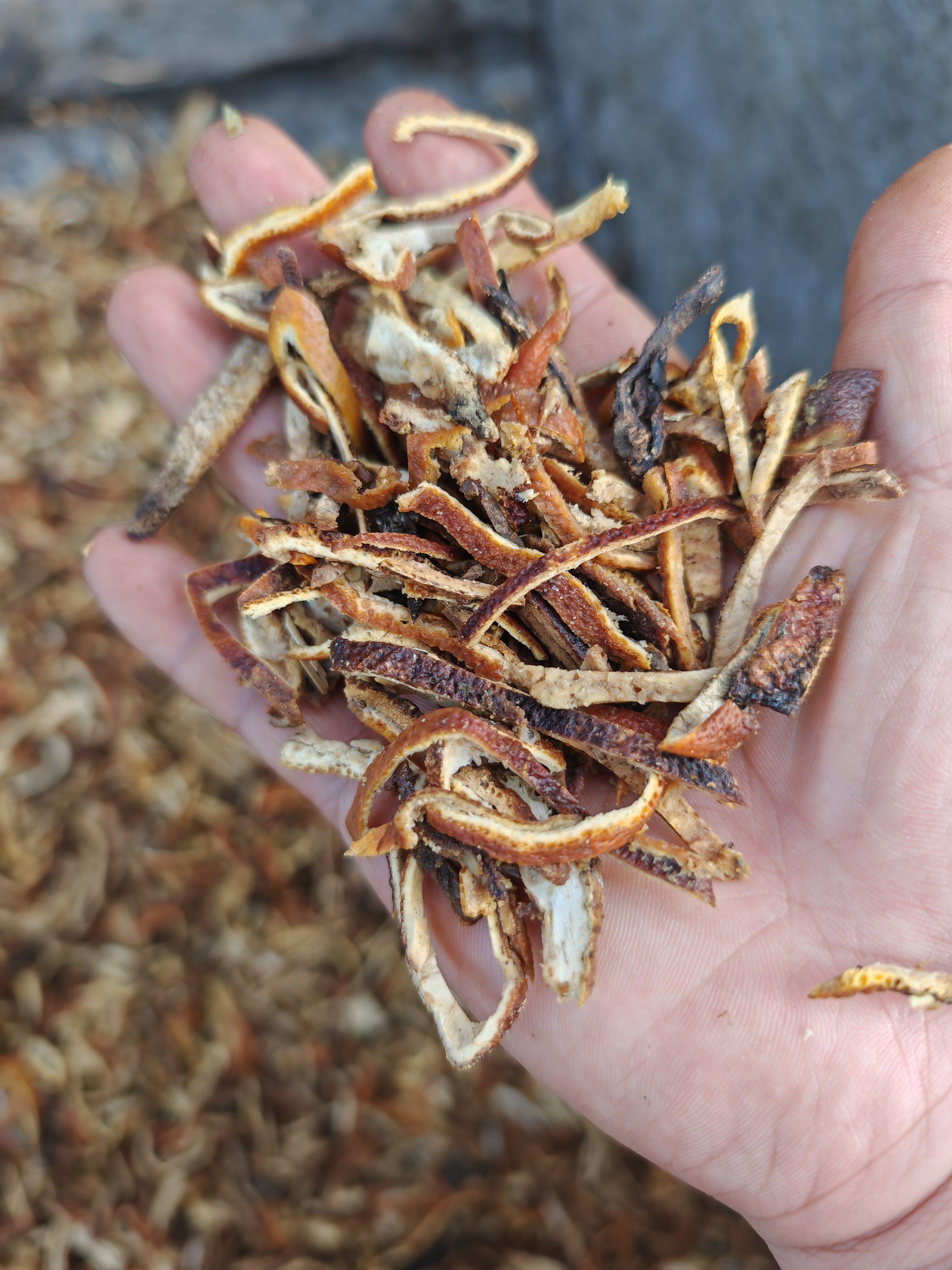 两年陈  陈皮丝