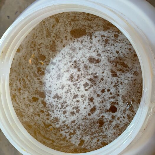绥江县土蜂蜜，秋花蜜，味道有一点微苦