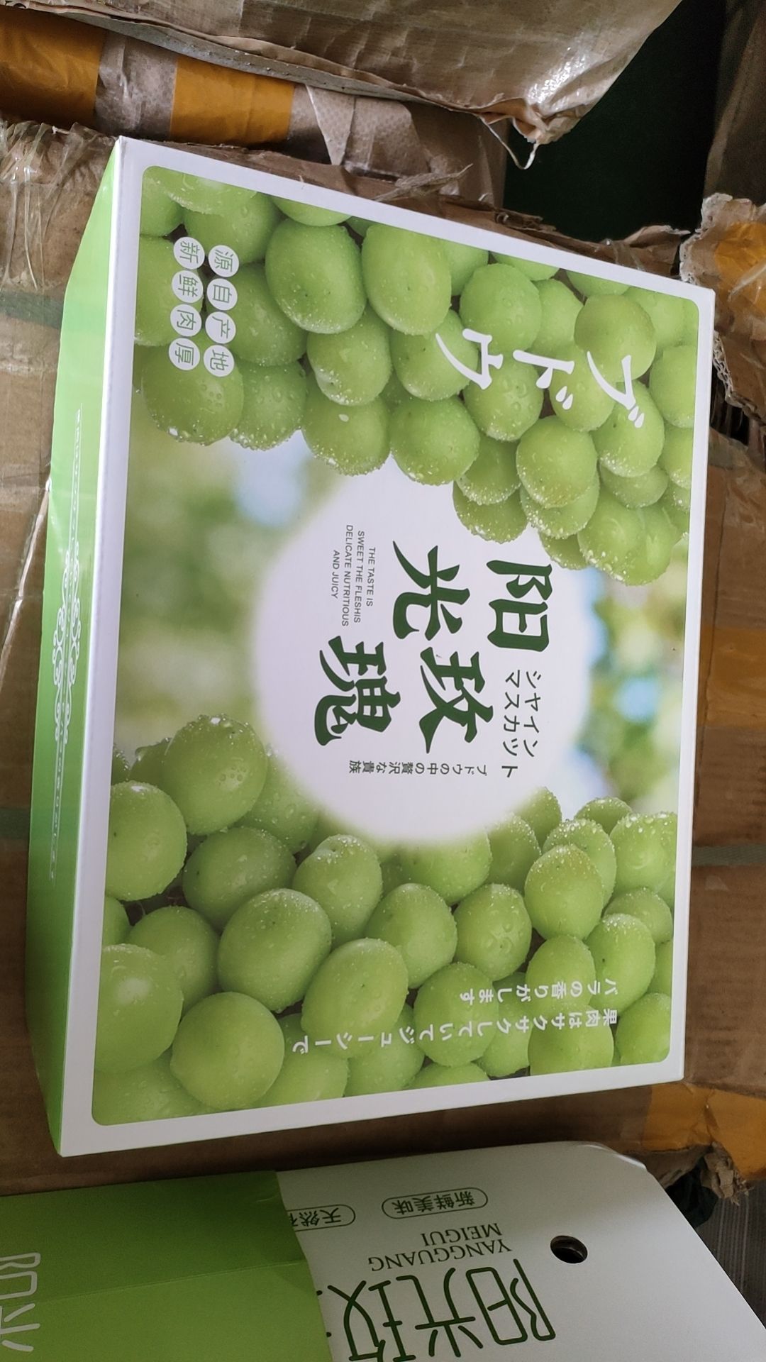 晴王包装盒阳光玫瑰葡萄礼品盒手提袋装现货定做批发