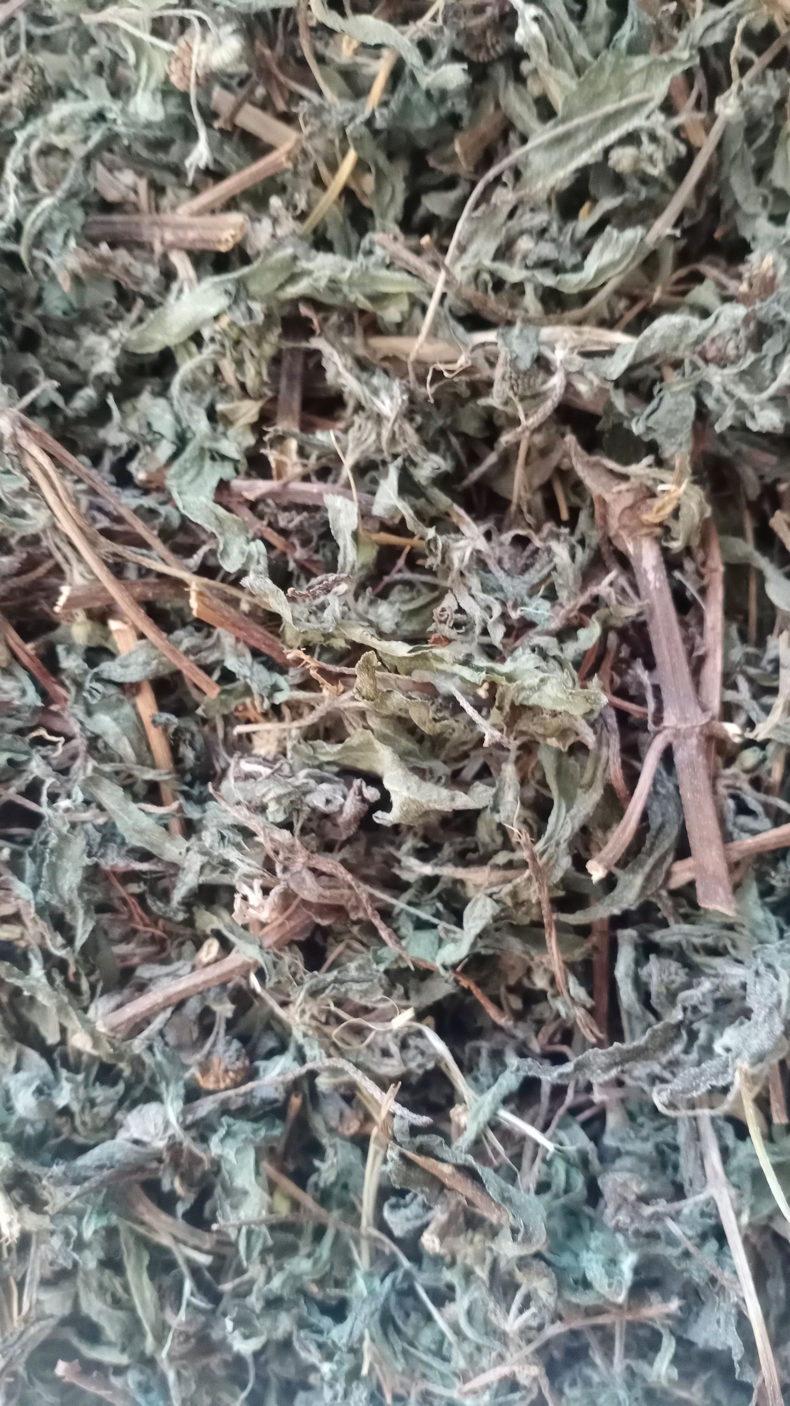 【旱莲草】本地新货无硫实物拍摄大货供应规格齐全量大优惠。