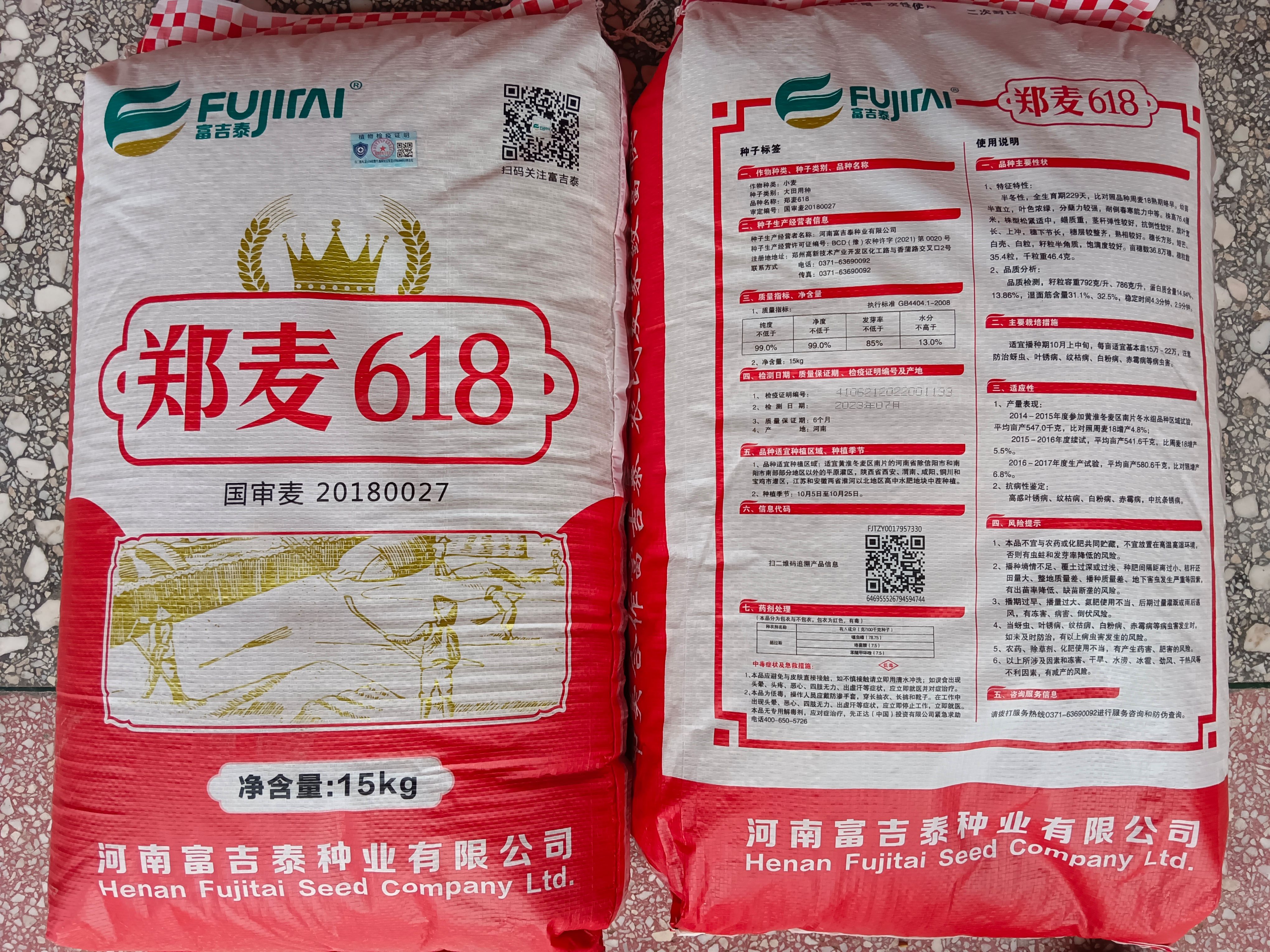 郑麦618小麦种子正品一袋一码产量高、扛倒、抗病