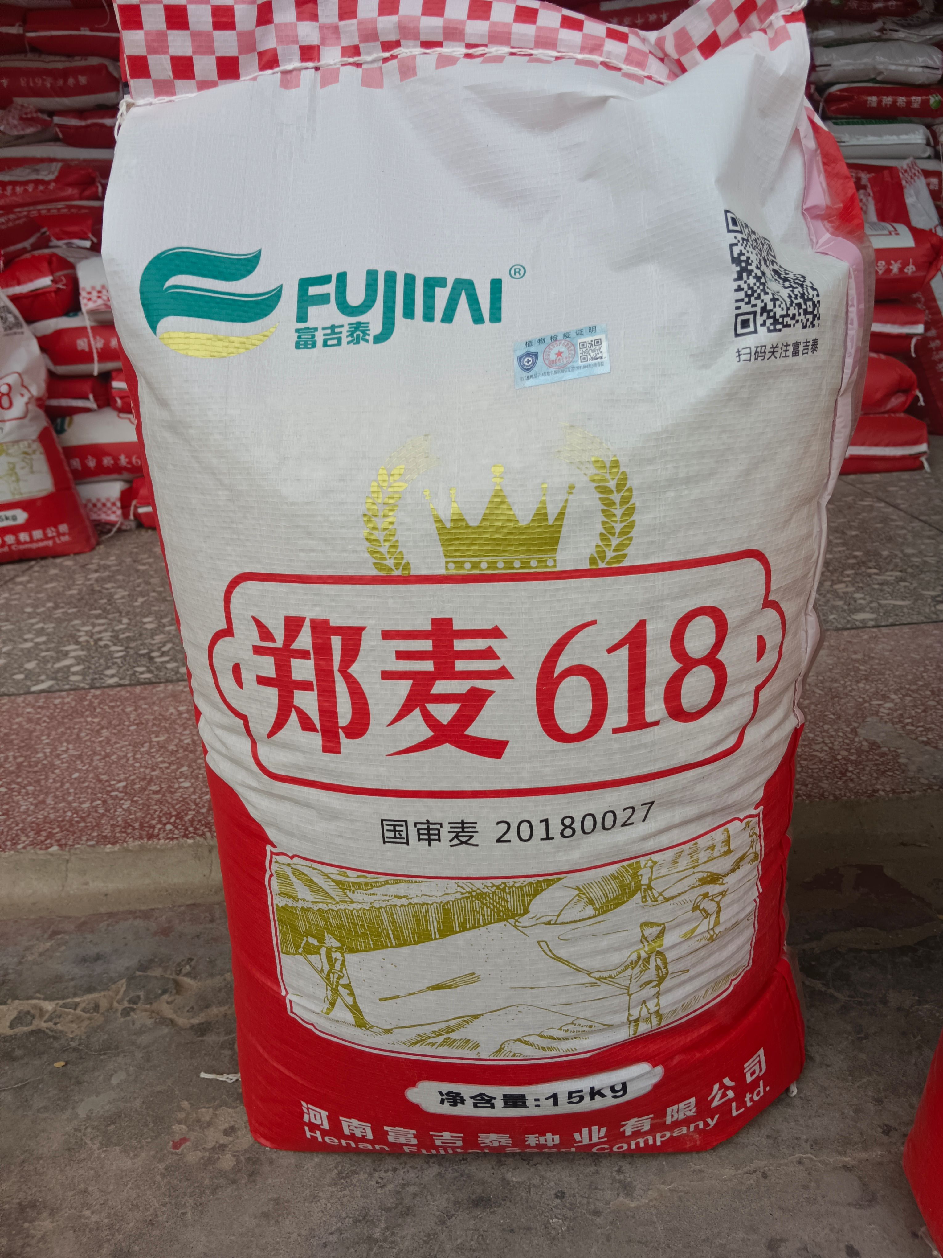 郑麦618小麦种子正品一袋一码产量高、扛倒、抗病