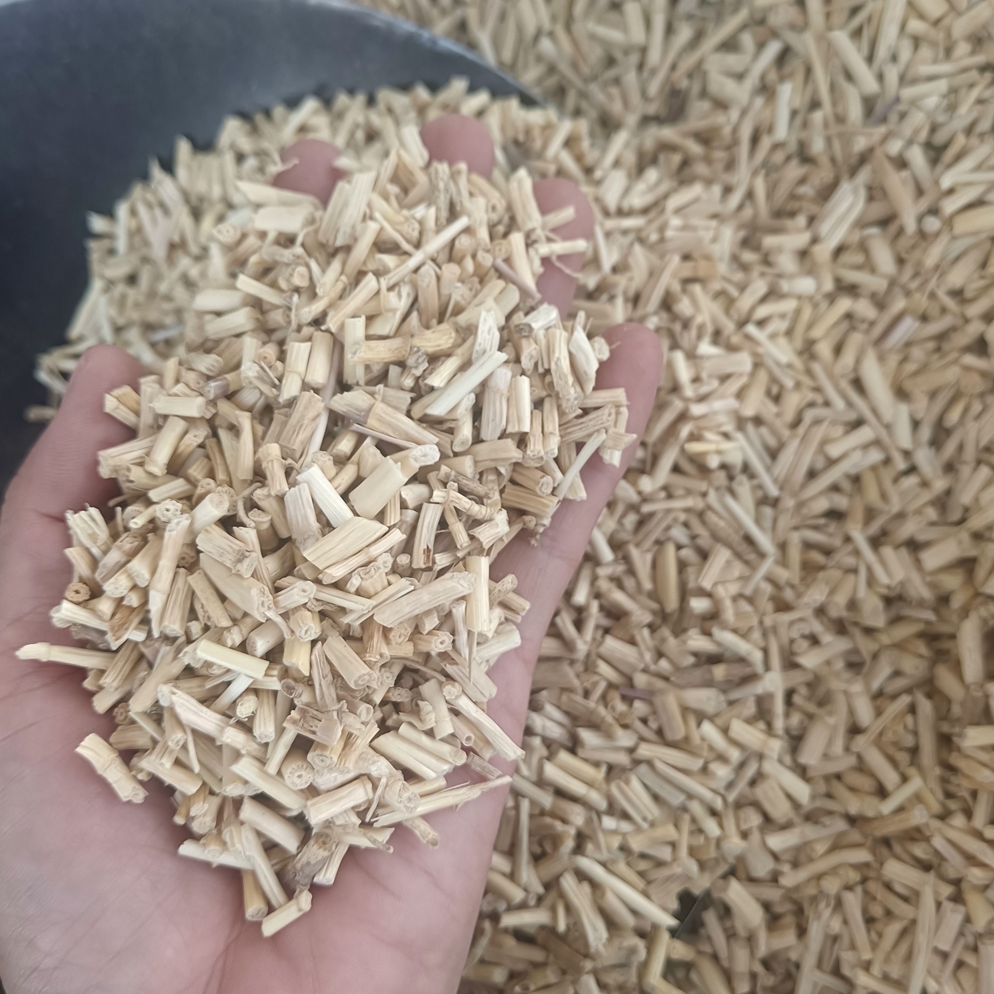 无硫磺白茅根.茅草量大从优白茅草