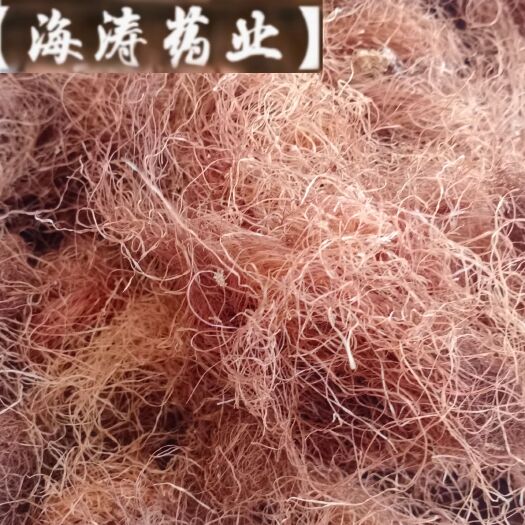 鄄城县【玉米须】本地新货无硫实物拍摄大货供应规格齐全量大优惠。