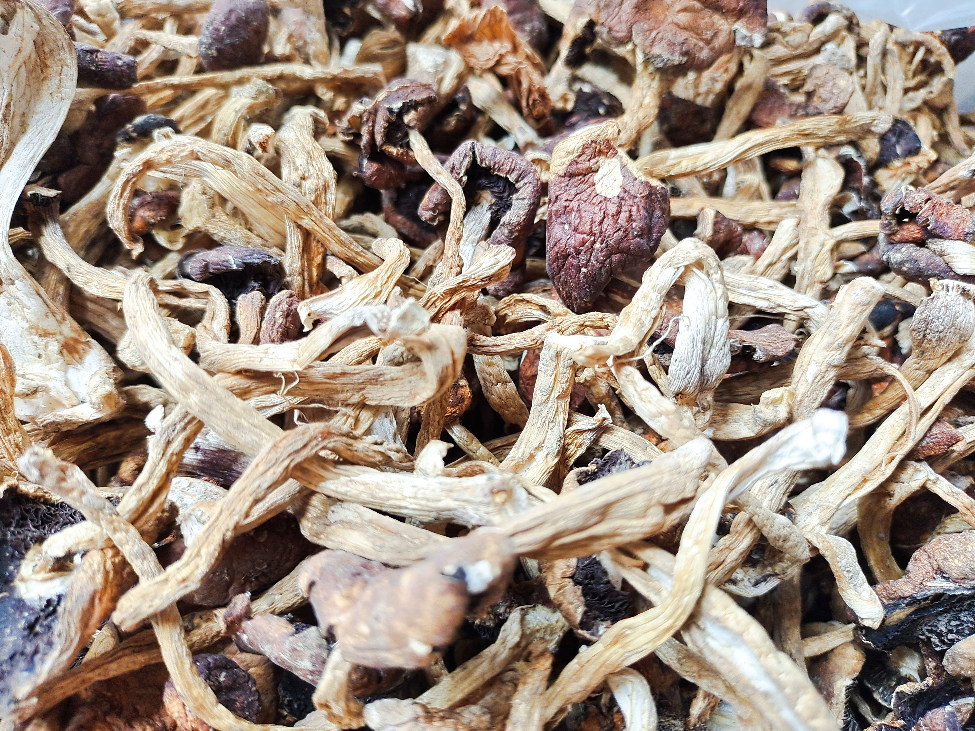 松茸干菇