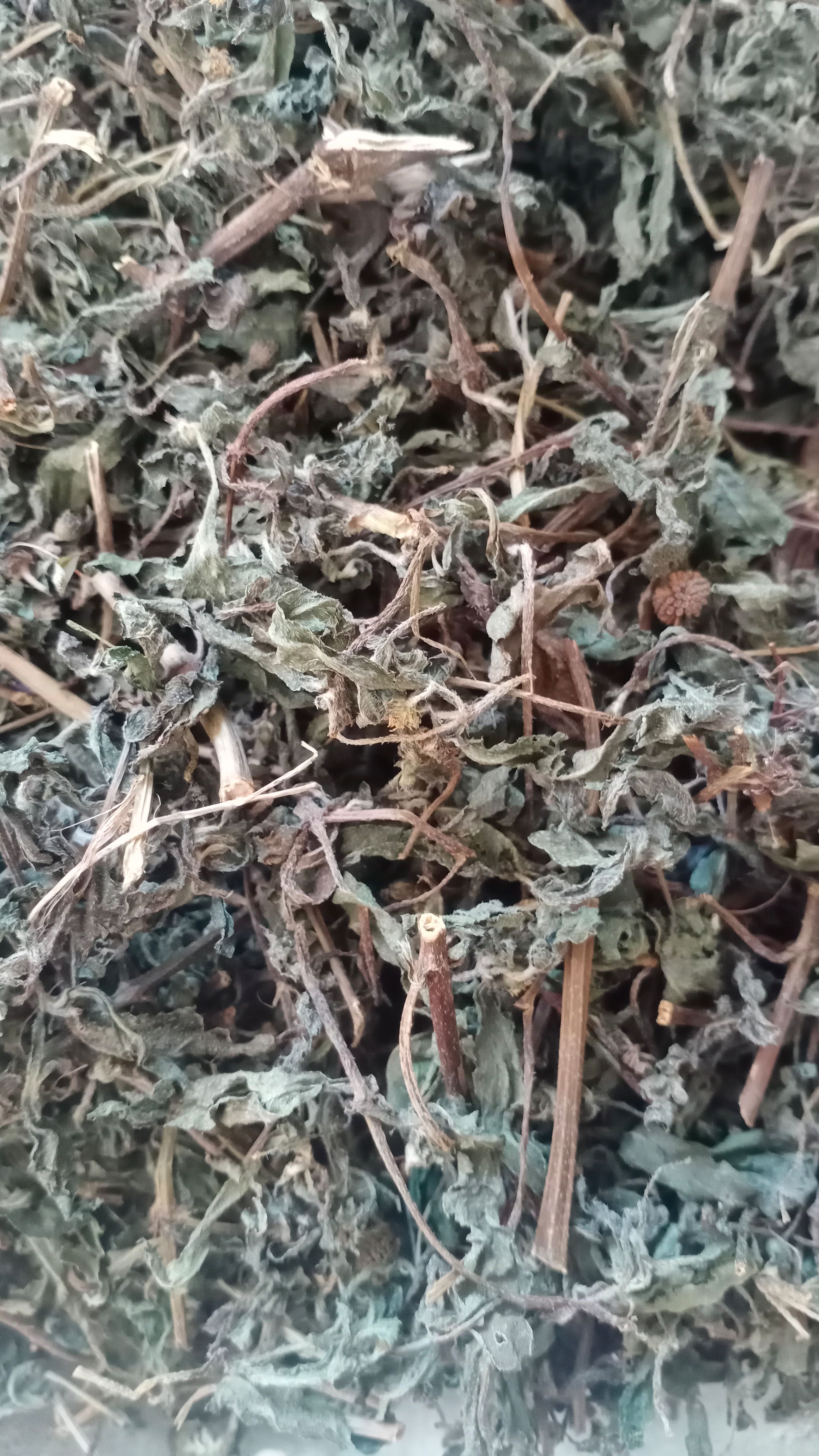 【旱莲草】本地新货无硫实物拍摄大货供应规格齐全量大优惠。