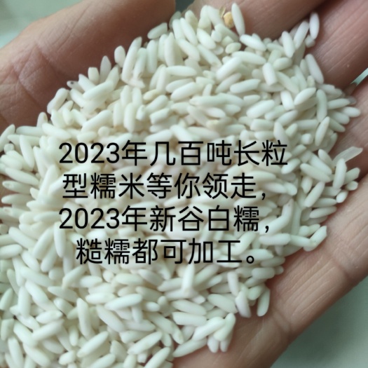 衡阳县糯米，糙糯白糯都可加工，糍粑甜酒可用，量大从优。