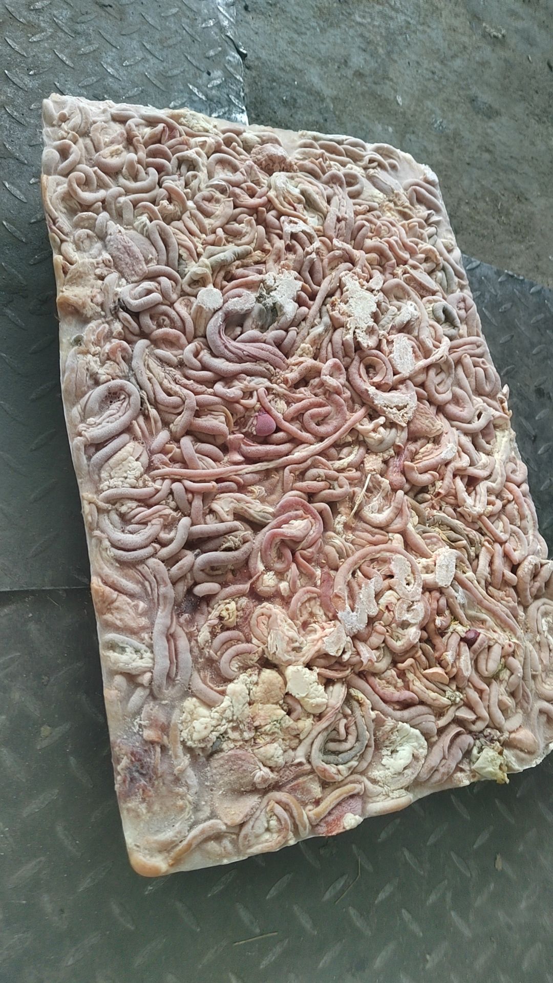 肉鸡肠