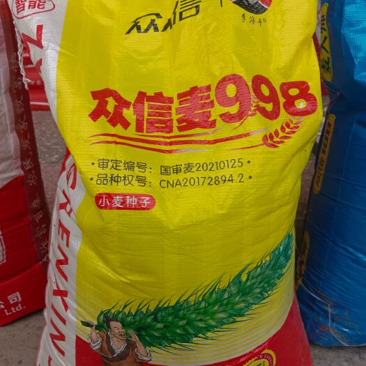 郑州众信麦998小麦种子：厂家直销售，量大从优