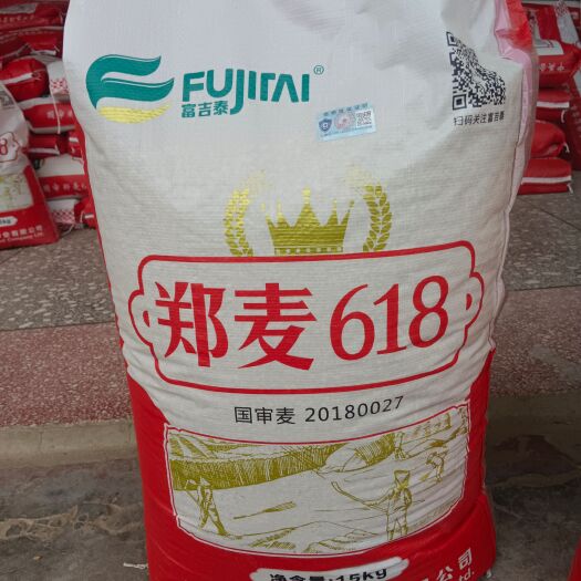 郑麦618小麦种子：产量高、扛倒、抗病优质好麦种