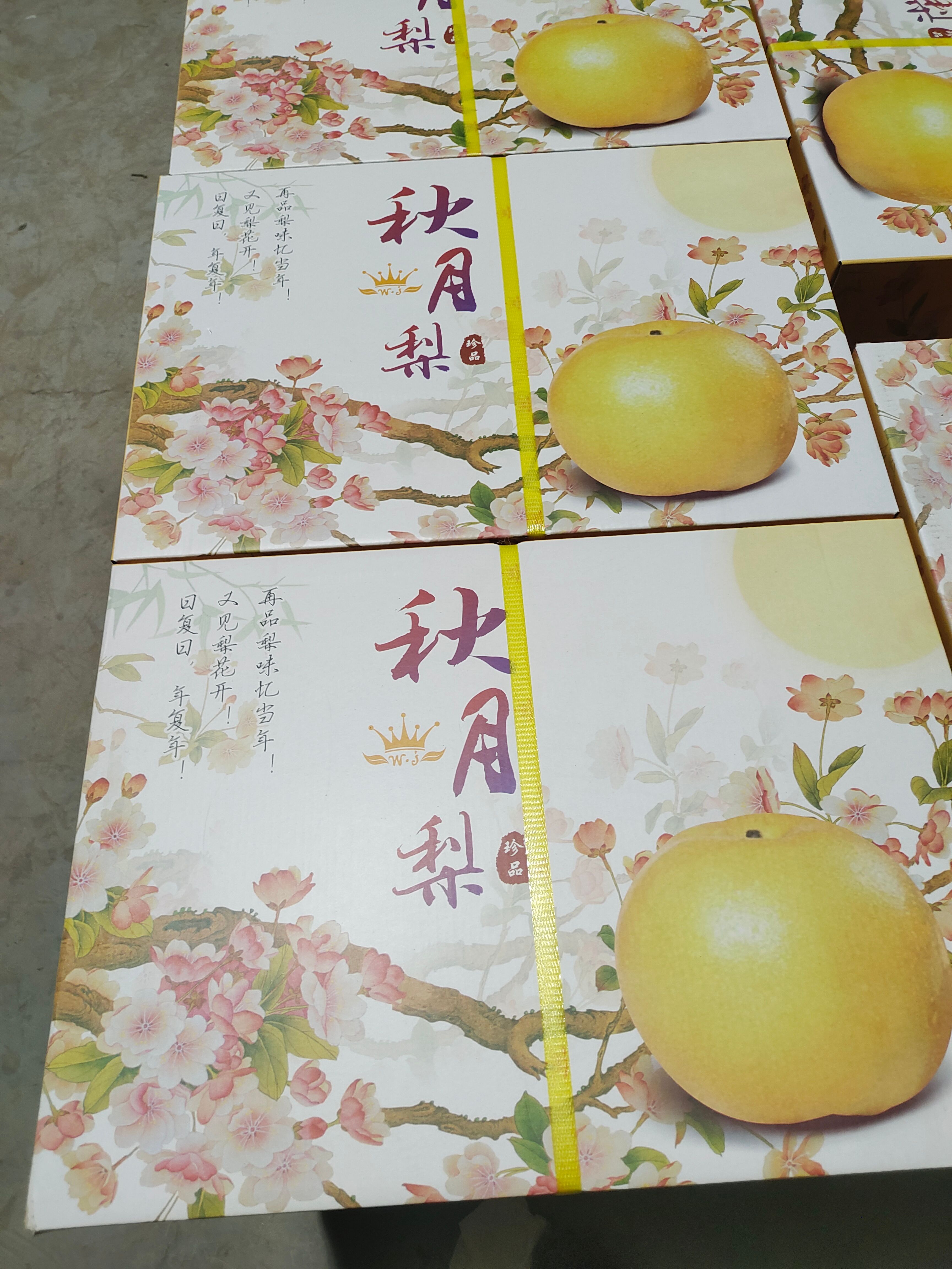 山东冠县（精品）秋月梨