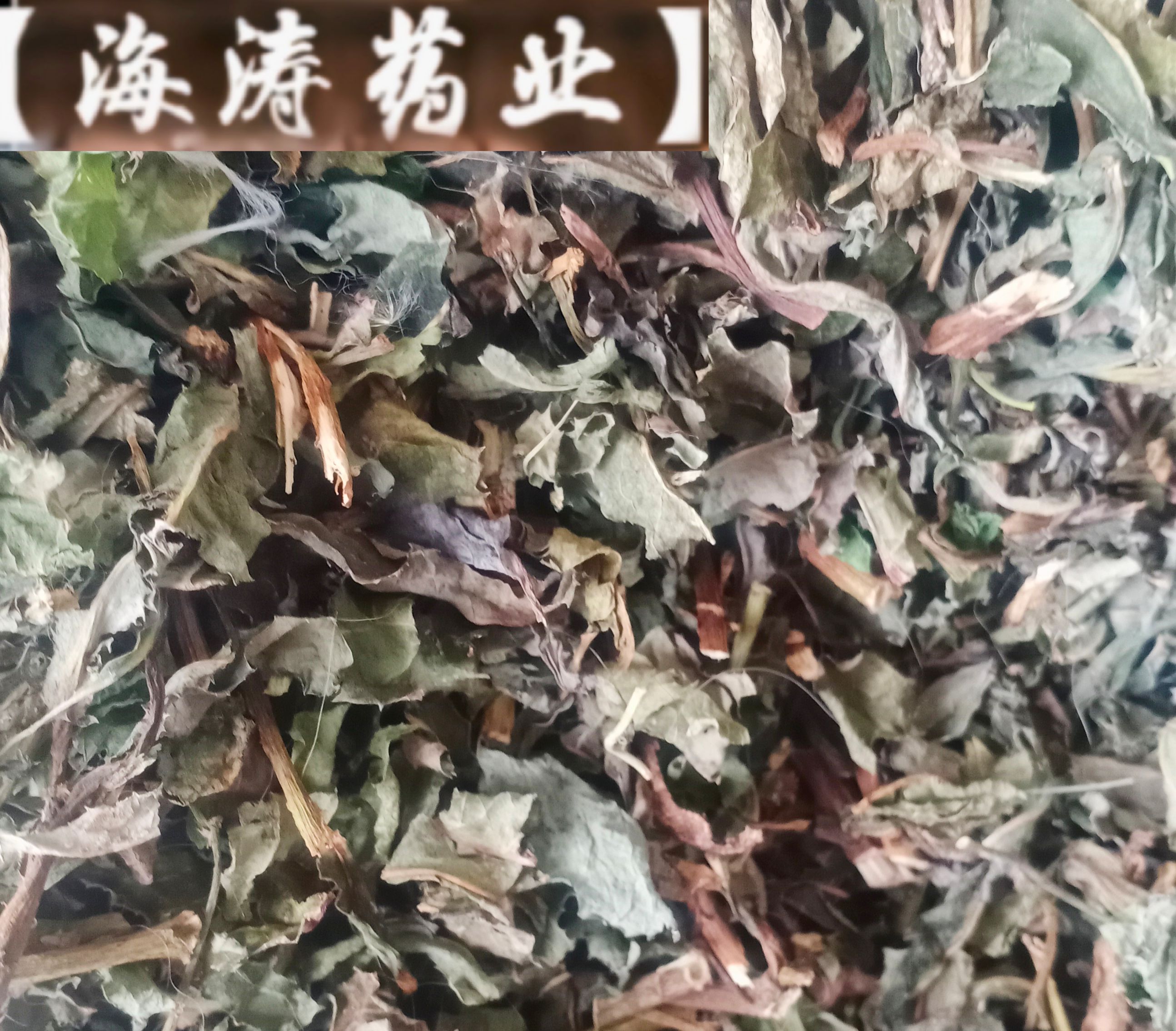 【败酱草】本地新货无硫实物拍摄大货供应规格齐全量大优惠。