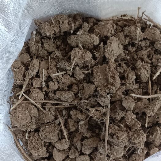 唐河县厂家直销，块状干鸡粪通货，有需要随时联系我就行，当天可发货，