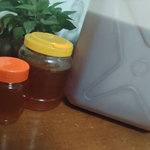 郑州荆条花蜂蜜 槐花蜜 百花蜜 天然野山花蜜 枣花蜜 栗子花蜜