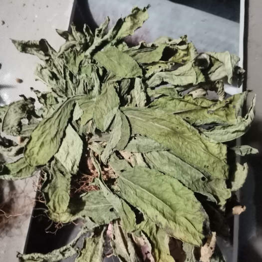 钦州地胆草全草干货