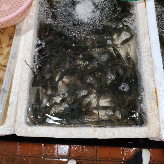 南昌县罗氏虾，草虾，大头虾