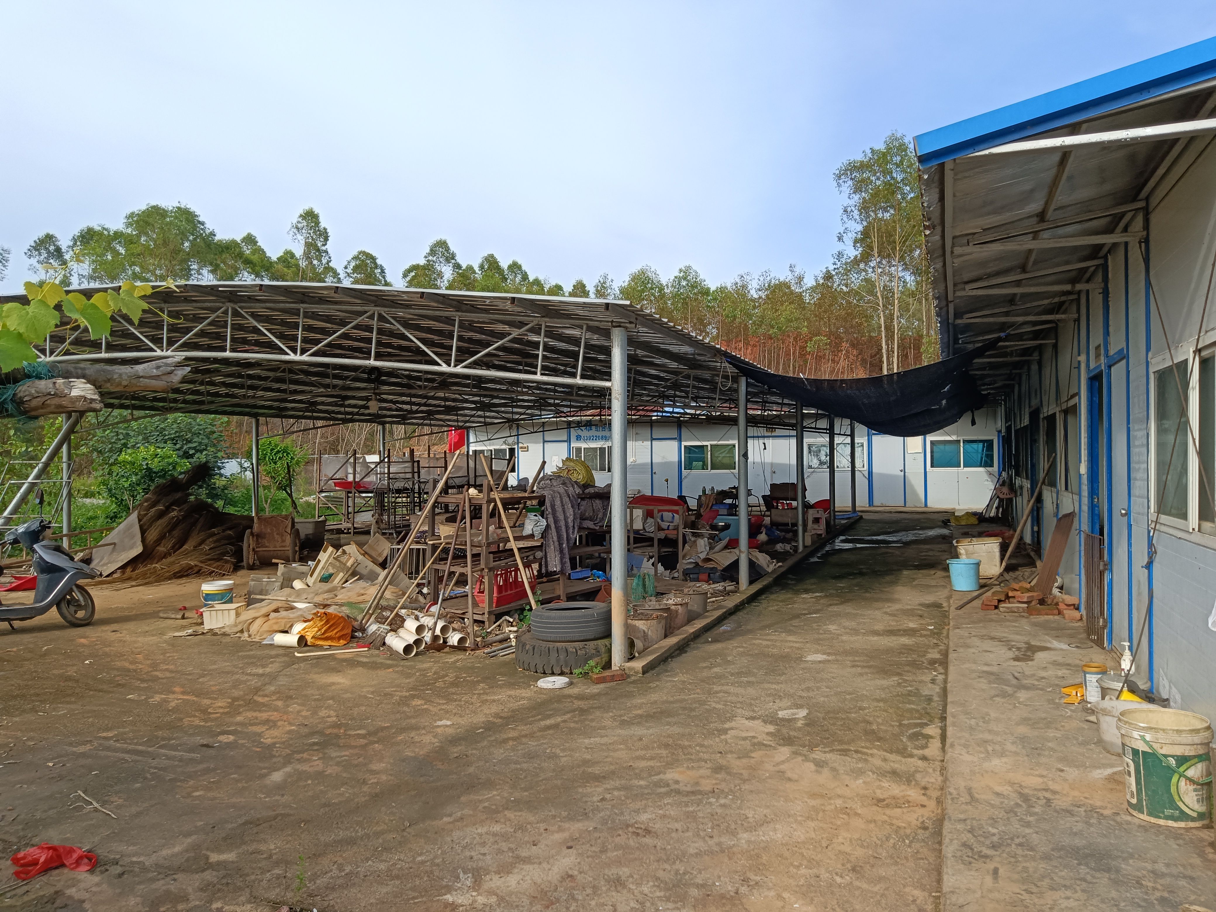 农村占地10亩中型畜牧养殖场出租，可养狗羊猪鸡鸭鹅鸟鱼等
