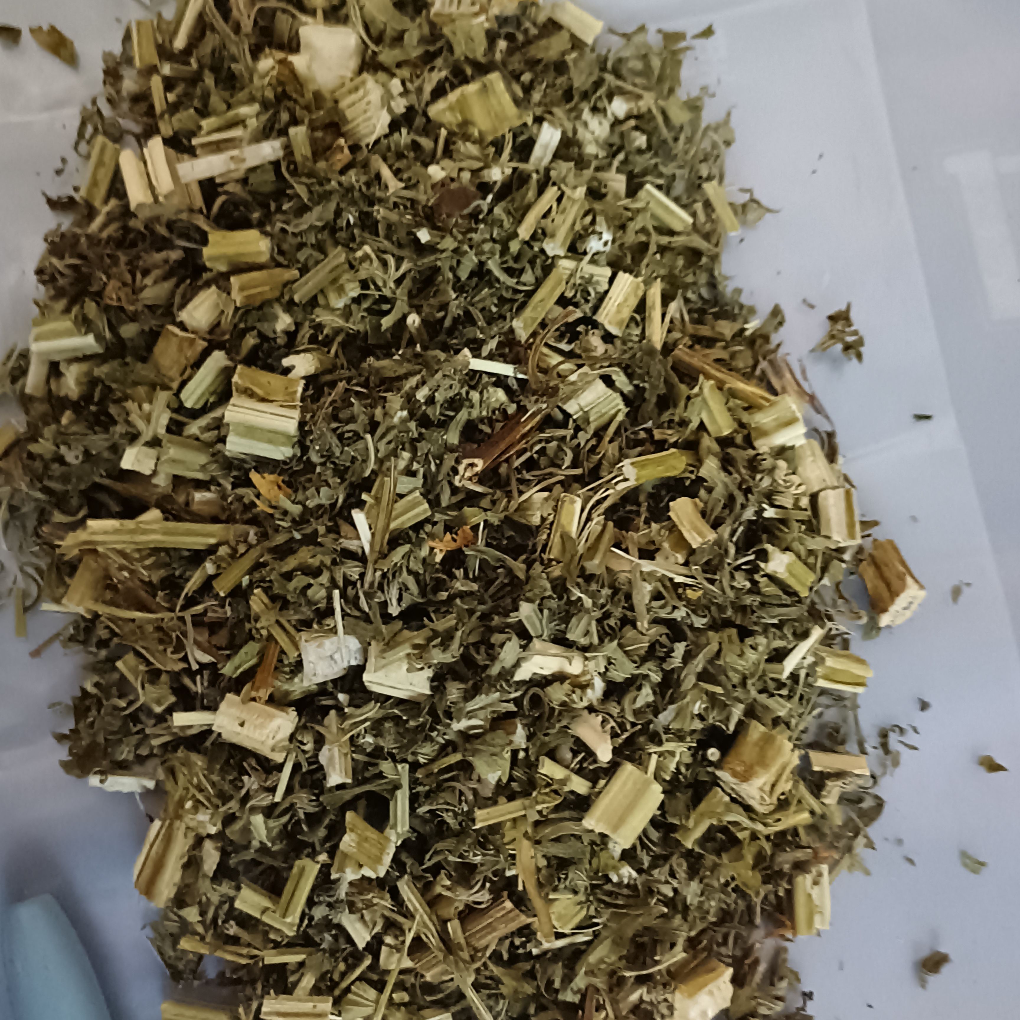 中草药益母草益母蒿坤草茺蔚可批量可零售量大从优