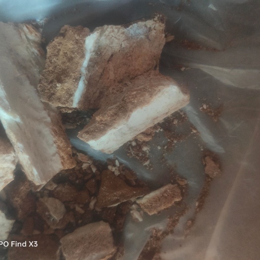 四子王旗货源充足  有意的老板  私聊