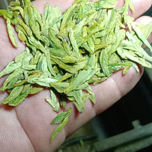 新昌县高山云雾龙井茶