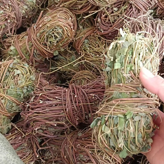 玉林有叶鸡骨草