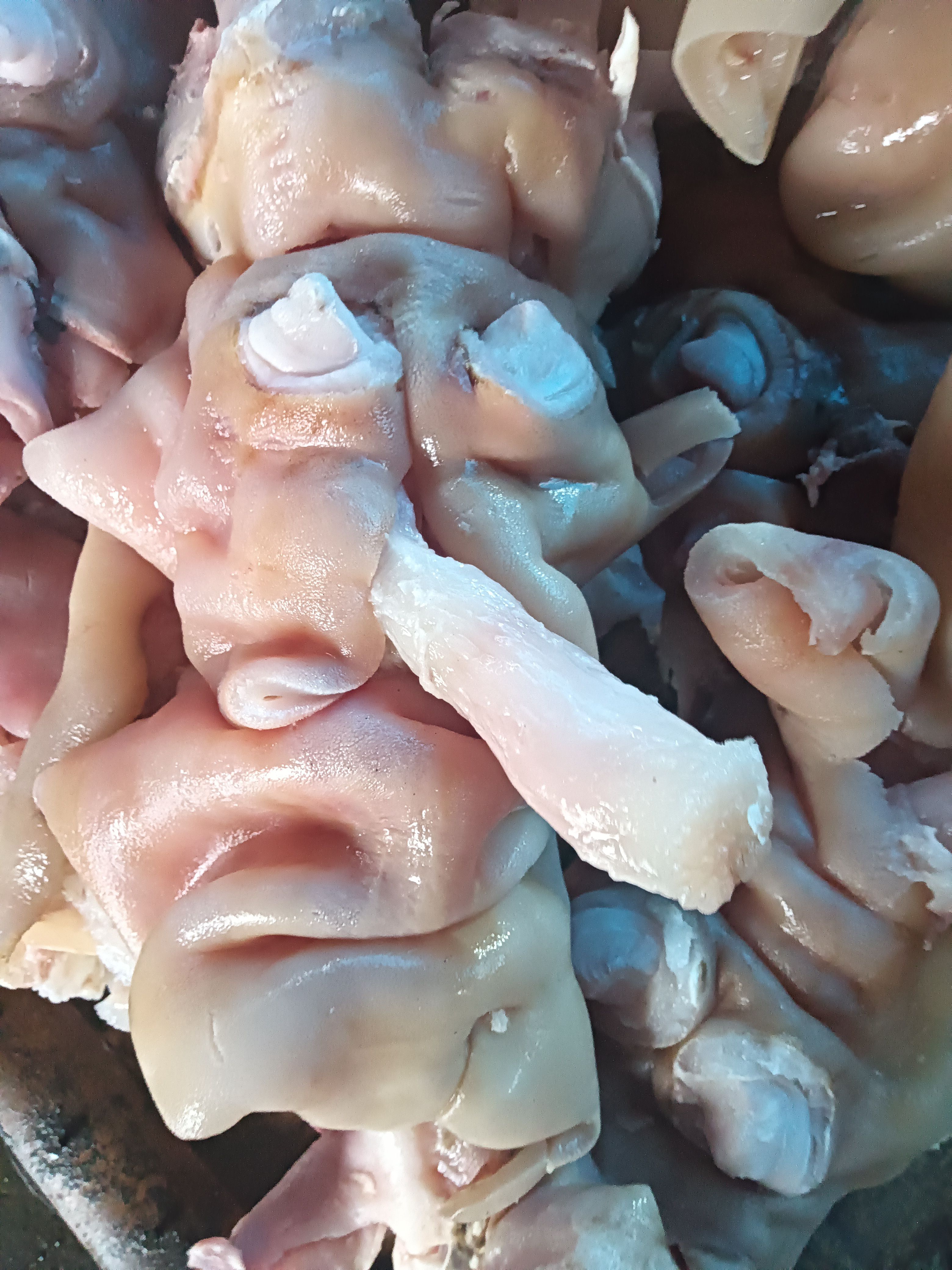 火烧毛大公牛蹄