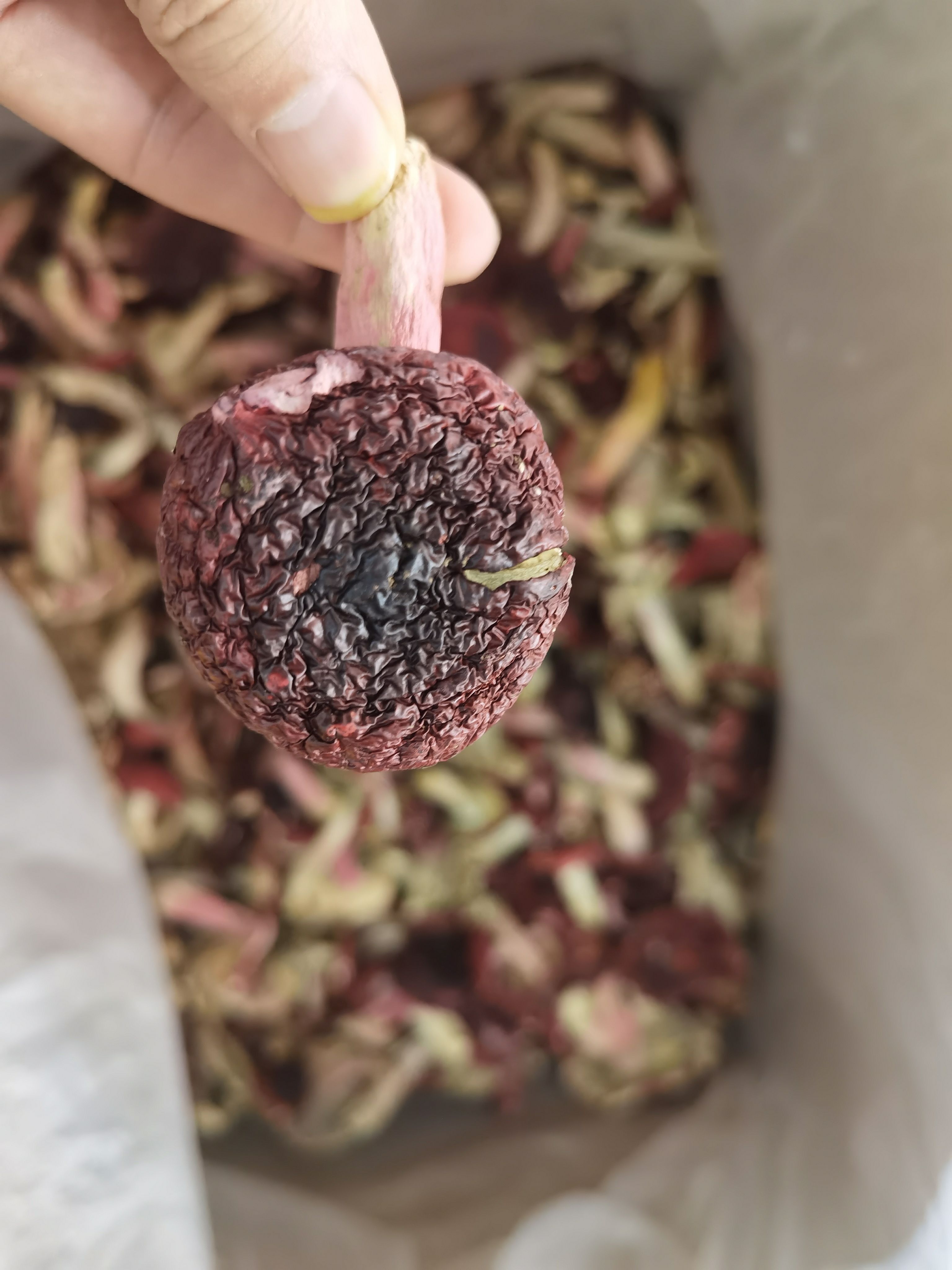 红菇 云南普洱大标菇