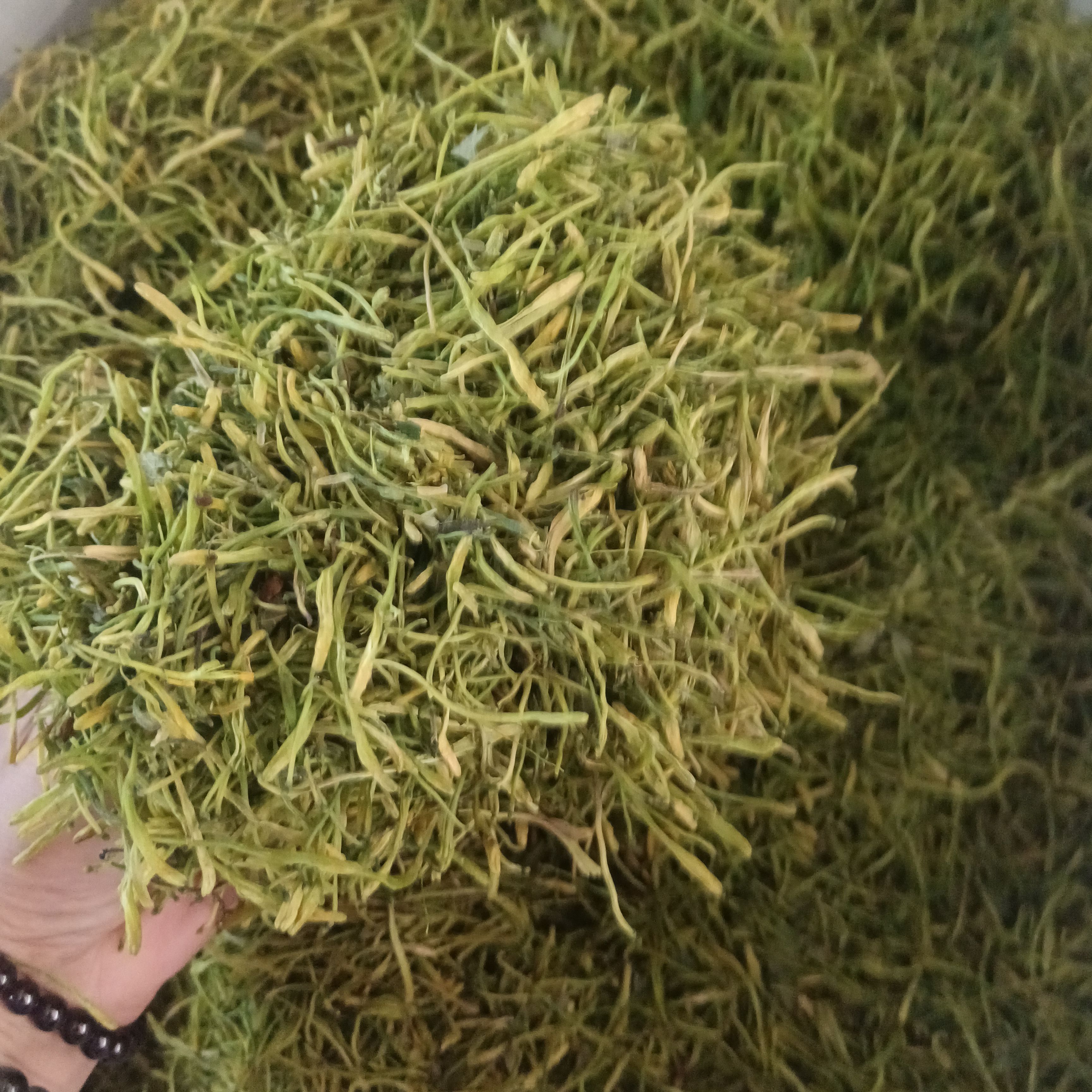 现货供应无硫金银花茶青茶统货价格优势两个规格