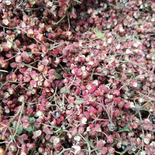 伊川县伊川县富硒花椒
