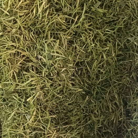 现货供应无硫金银花茶青茶统货价格优势两个规格