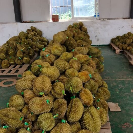 长沙榴莲