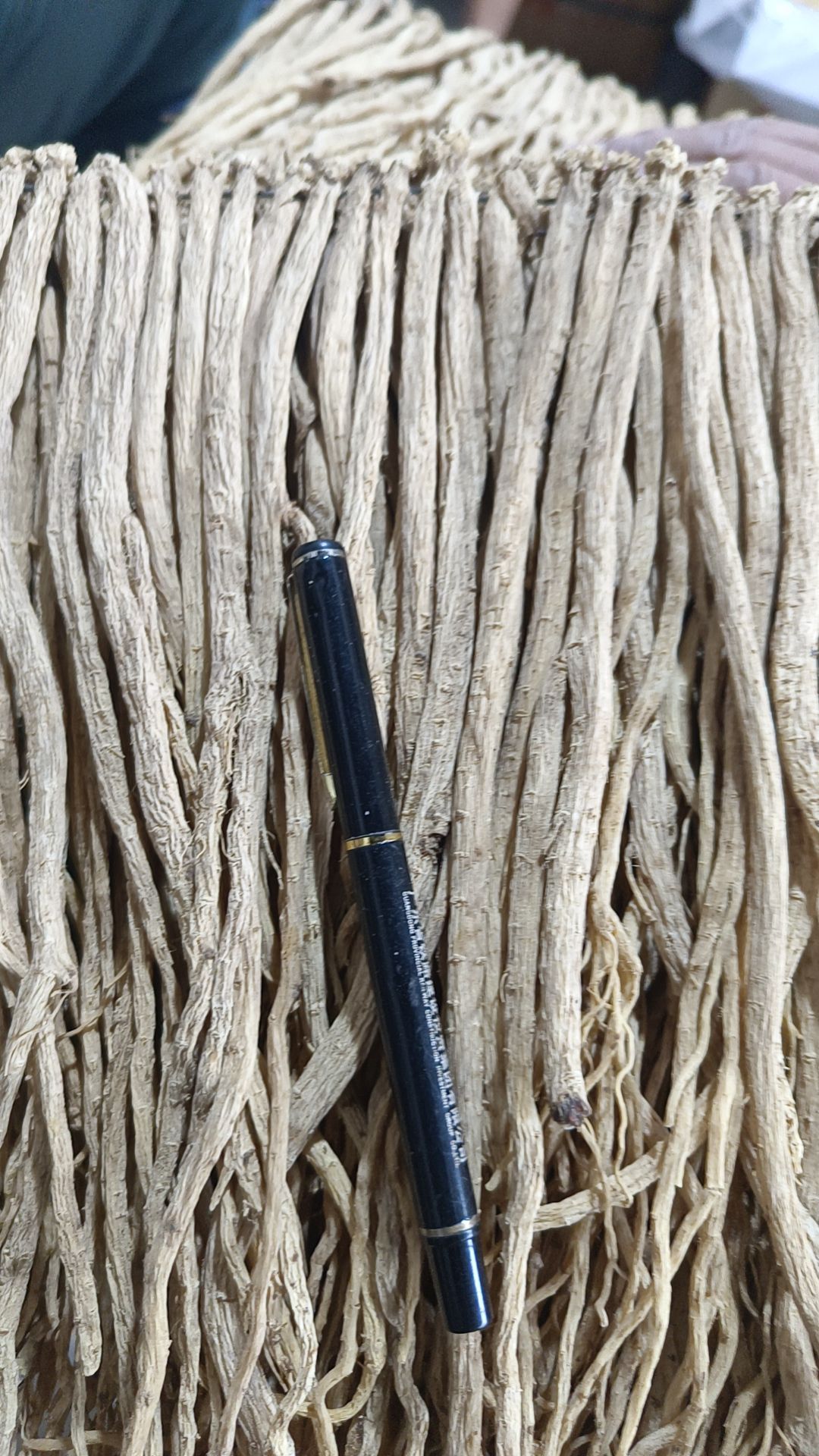 党参