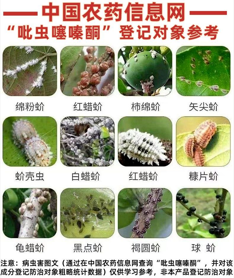 蚧壳虫介壳虫专用农药杀虫剂吡虫噻嗪酮吡虫啉果园果树柑橘树植物