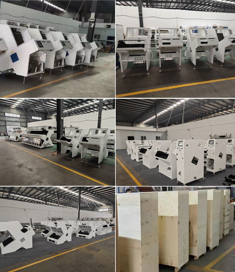 清洗机  小型迷你水稻，杂粮色选机，分选杂色，霉变等杂质