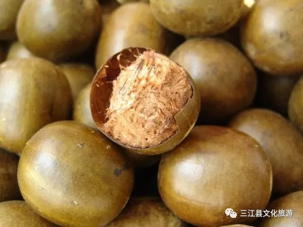 罗汉果仁