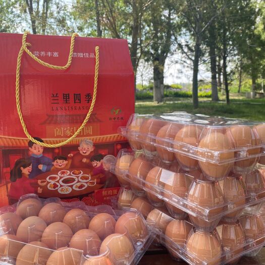 榆中县鲜鸡蛋