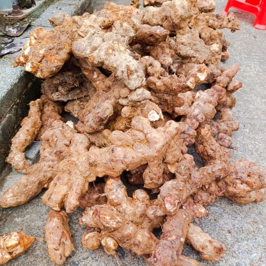 连南县土伏苓