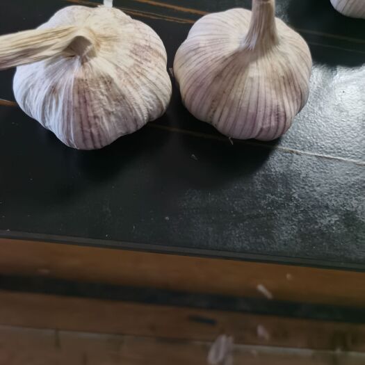 金乡县金乡大蒜