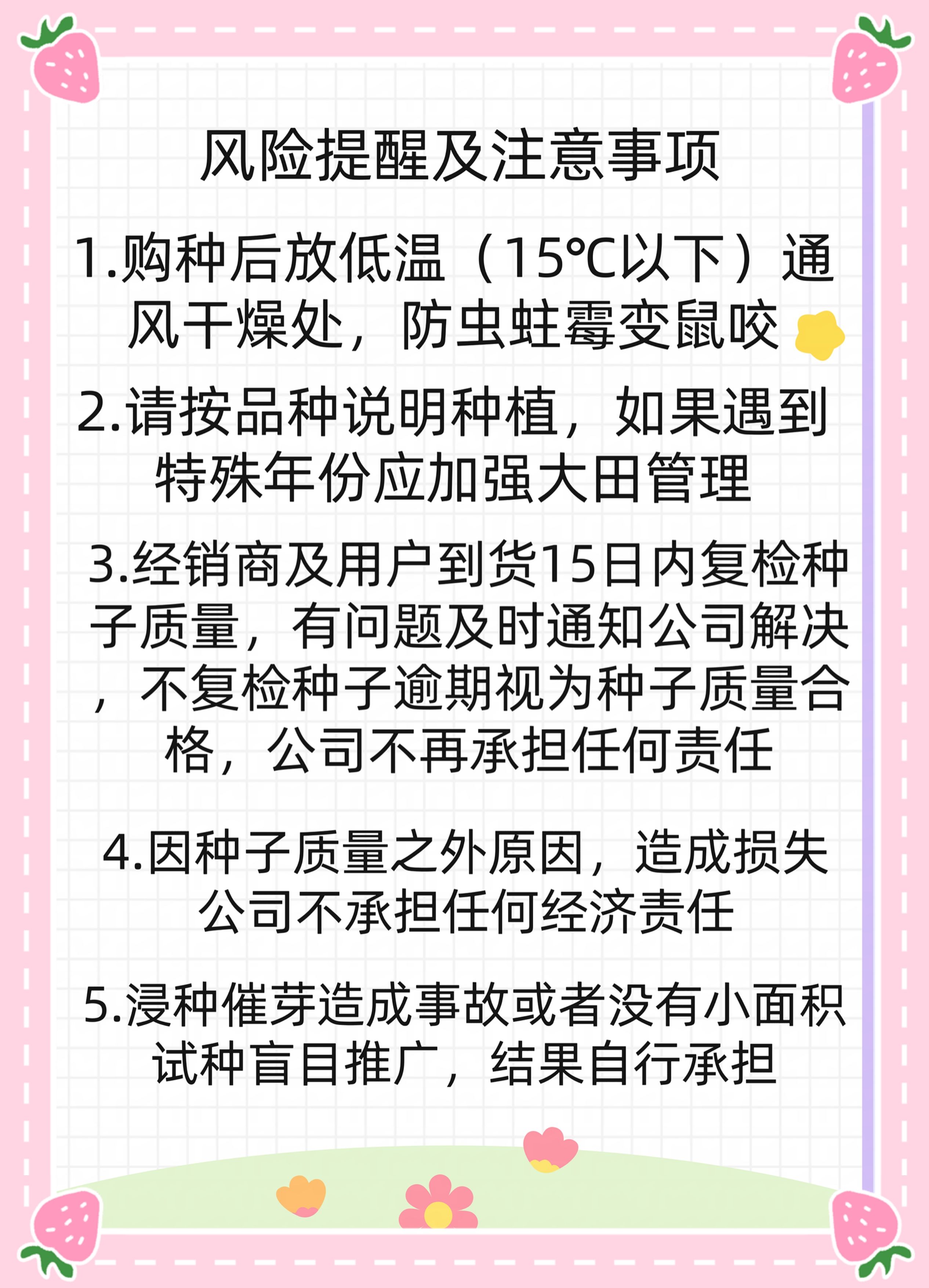 甜加糯玉米种子红色甜加糯玉米粘糯香甜红甜糯8号华为种业